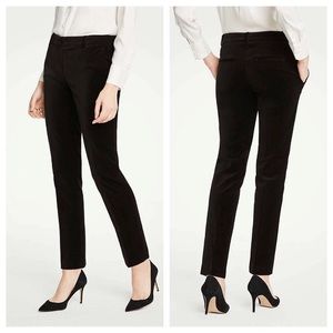 NWT Petite Velvet Devin Ann Taylor Ankle Pant | S6